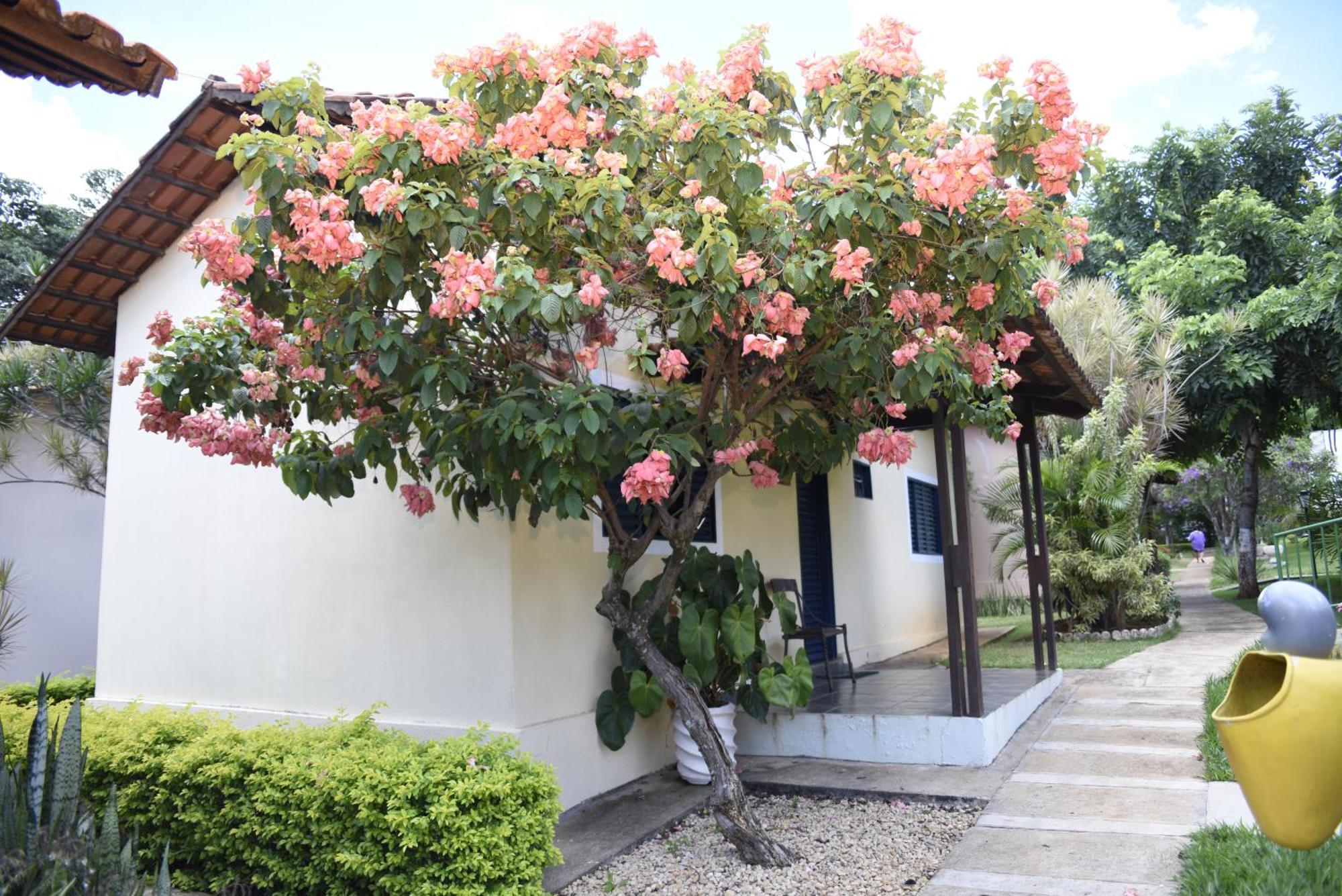 Rosa Spa E Pousada อาปาเรซิดา เจ กอยอาเนีย ภายนอก รูปภาพ